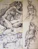 charcoal drawings - click here to see an enlargement